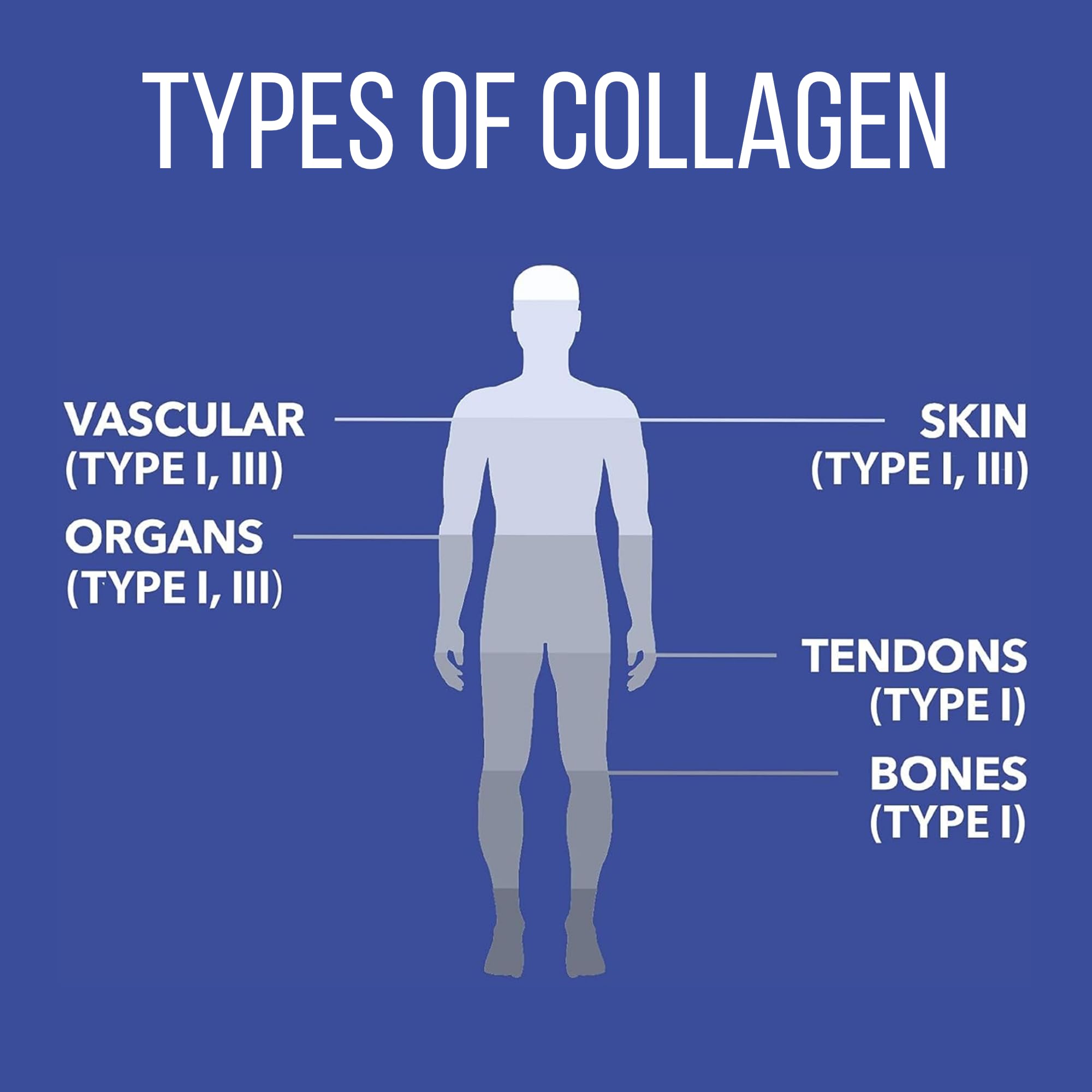 Close-up of NaturesPlus Marine Collagen Peptides label highlighting sustainable sourcing.