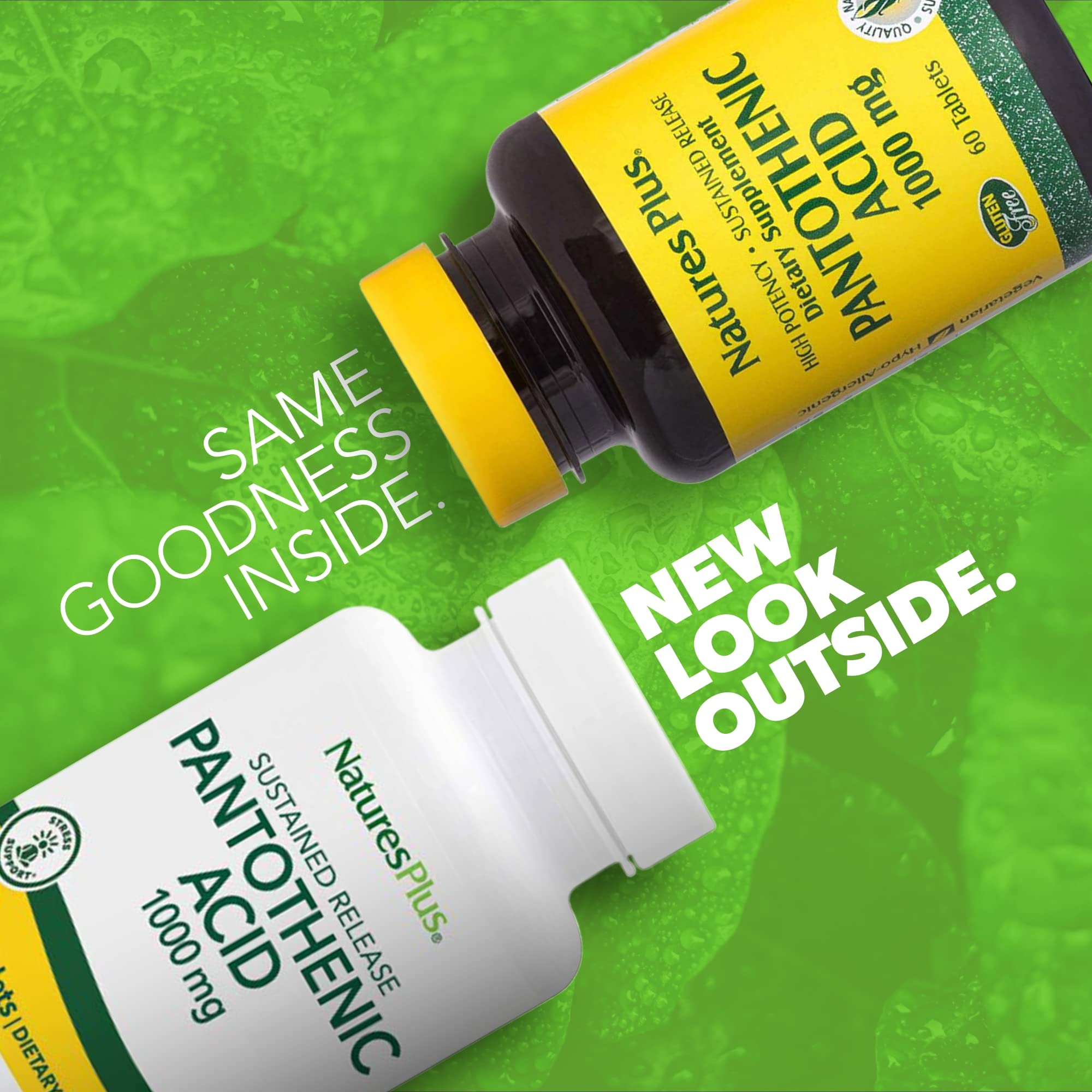 NaturesPlus Pantothenic Acid bottle back label detailing ingredients and standards