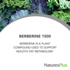 NaturesPlus PRO Berberine label detail highlights GMP-aligned manufacturing.