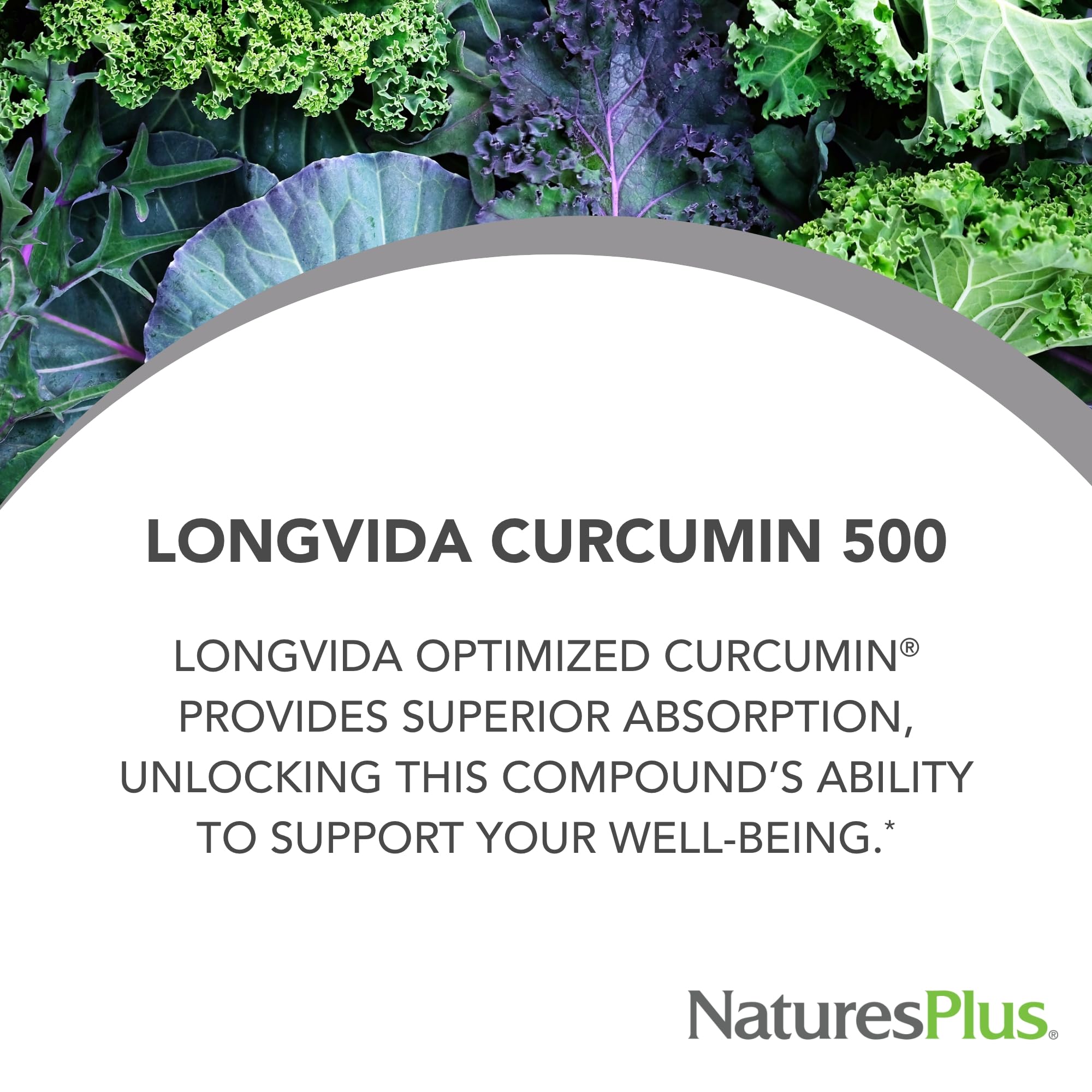 NaturesPlus PRO Longvida capsules close-up, designed for enhanced absorption and digestive-friendly use.