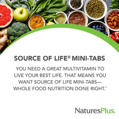 NaturesPlus Source of Life 360 Mini-Tabs tablets close-up showing compact form