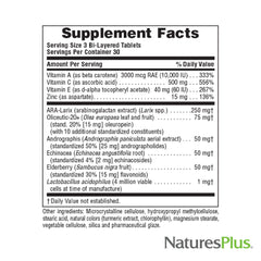NaturesPlus Source of Life Immune Booster ingredients image shows Elderberry, Echinacea, olive leaf