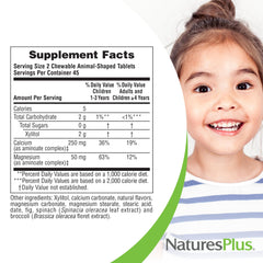 NaturesPlus Animal Parade sugar-free chewables with xylitol for teeth-friendly sweetness.