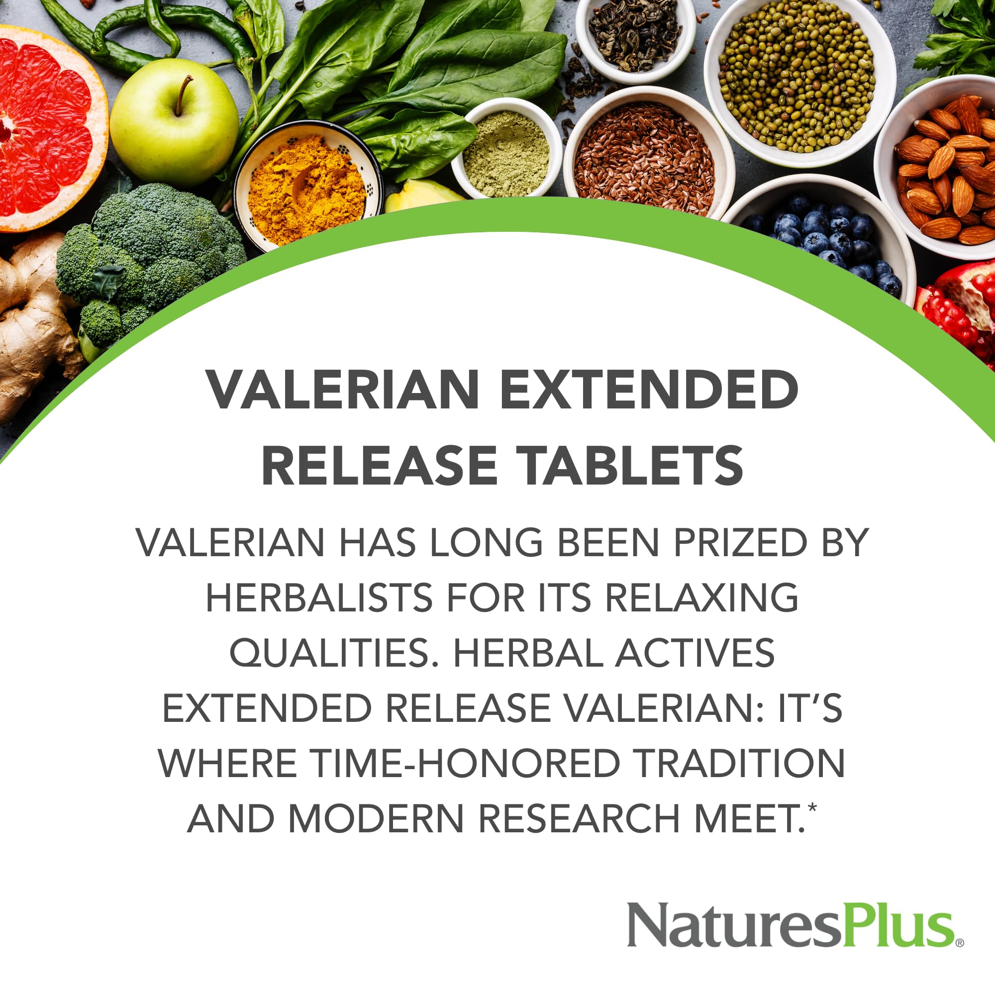 Close-up of valerian tablet interior view highlighting extended-release