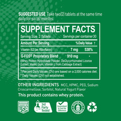NATURION H. Pylori Support ingredients blend highlighting whey, licorice, and mastic.