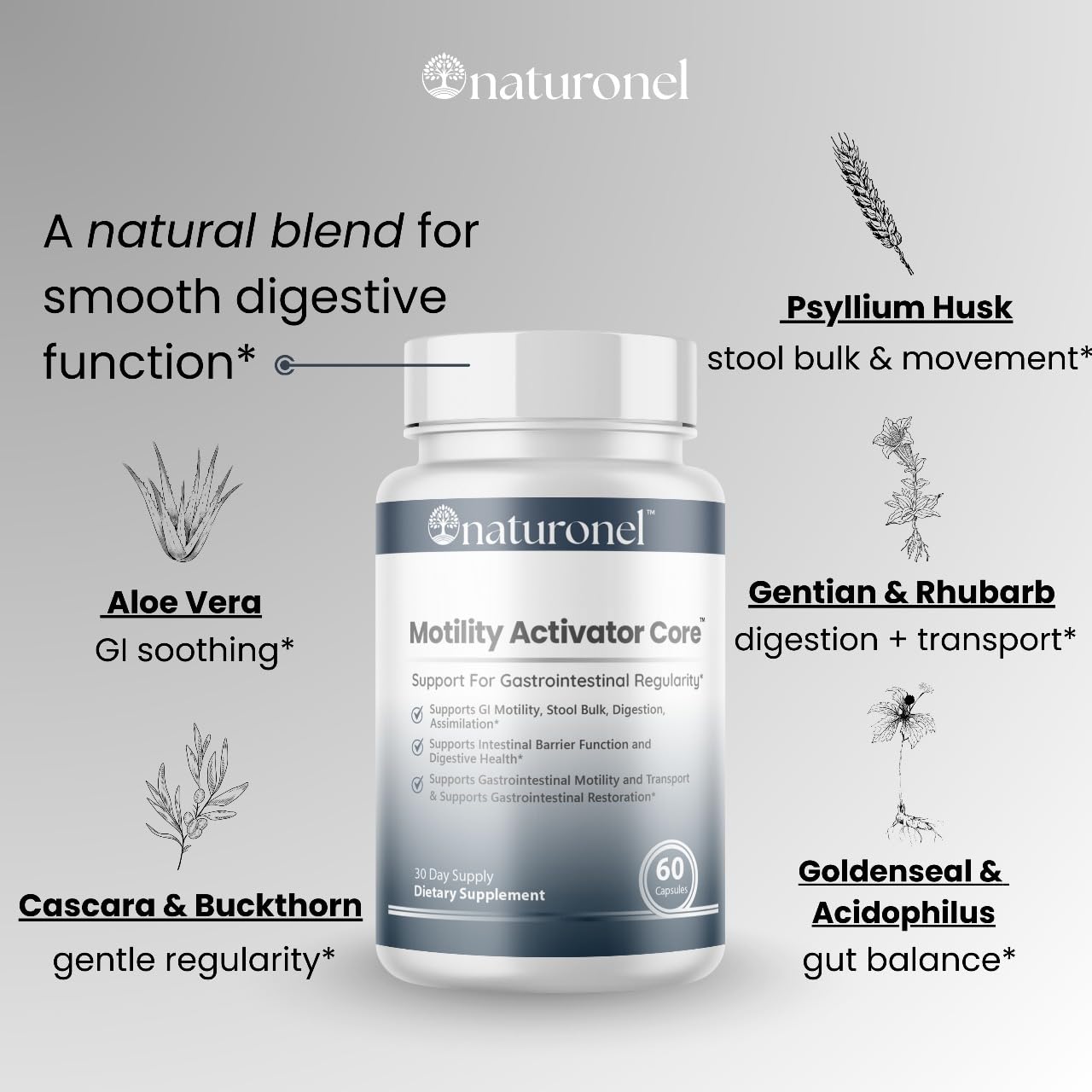 Naturonel Motility Activator Core Support Formula pack shown for daily wellness.