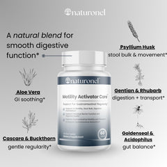 Naturonel Motility Activator Core Support Formula pack shown for daily wellness.
