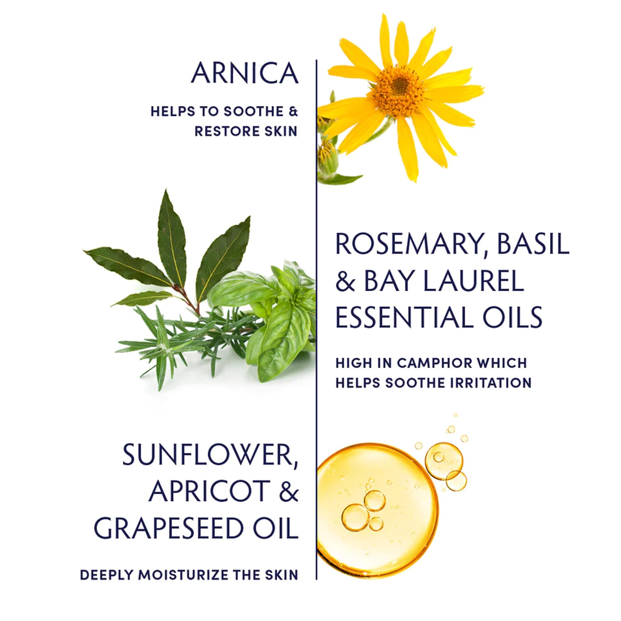 Naturopathica Alpine Arnica Bath & Body Oil close-up during massage application.
