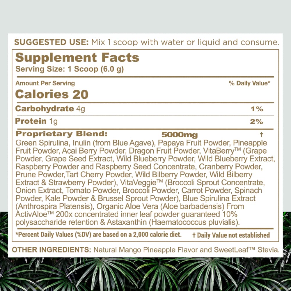 nbpure Earthy Andy ingredients scene highlights fruits and nutrients for daily intake.