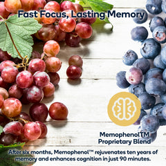 Nedley Health Focus Bacopa illustration highlights memory support concept.