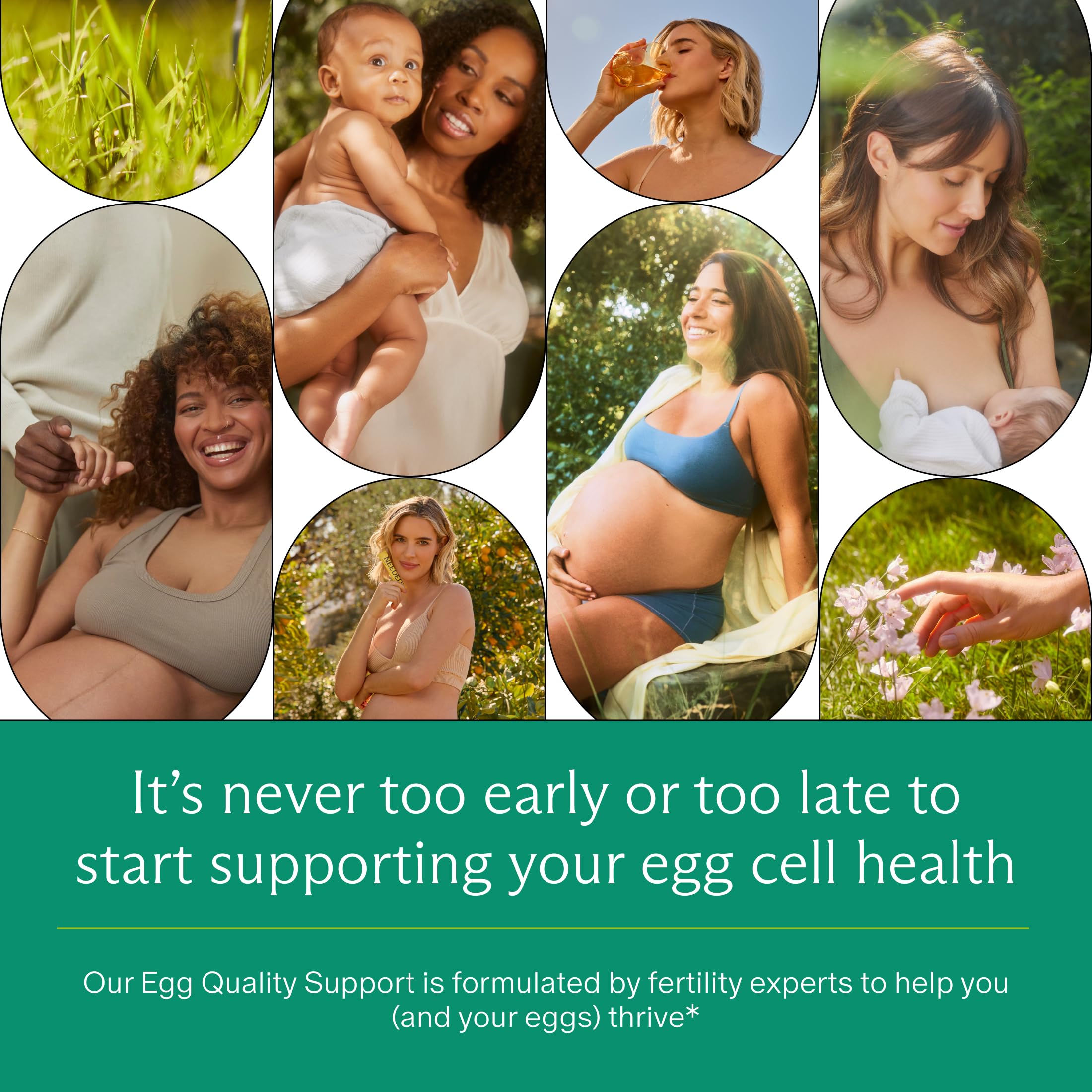 Needed Egg Quality Support third-party tested seal indicating quality and purity.