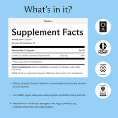 Needed Prenatal Choline capsules close-up highlights 500mg per serving.