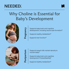 Third-party testing seal on Needed Prenatal Choline reinforces safety and purity.