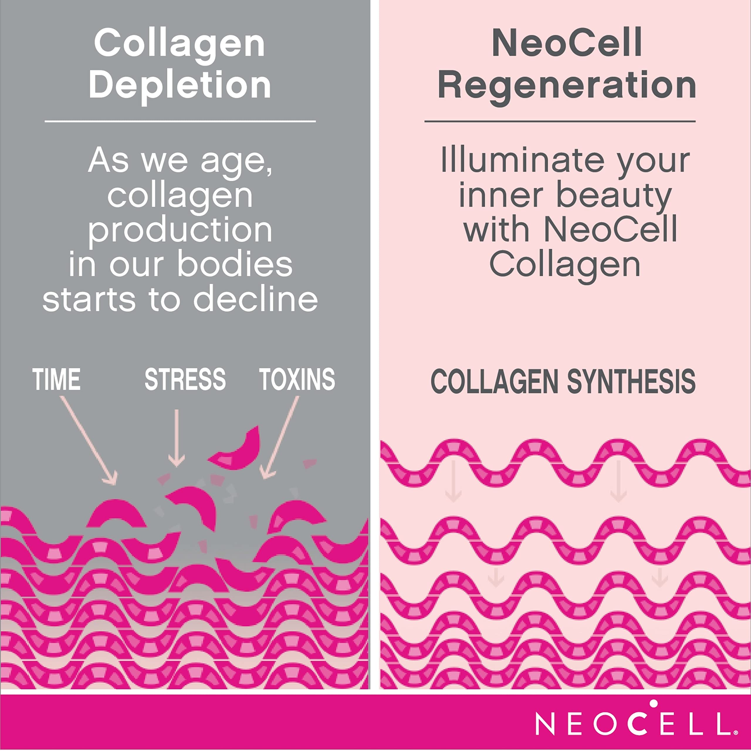 NeoCell Collagen Beauty Infusion scoop demonstrates easy daily mix.