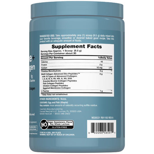 NeoCell Creatine Monohydrate powder scoop ready for a daily serving