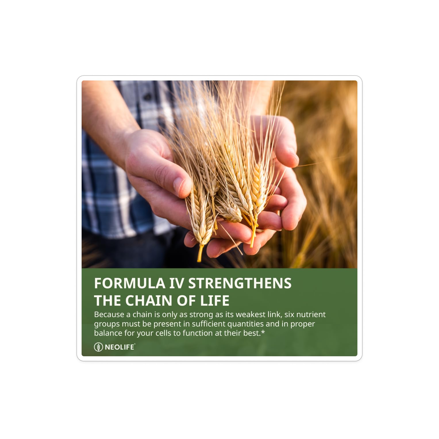 NeoLife Formula IV ingredients list featuring vitamins and minerals.