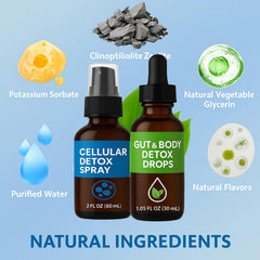 Neonomicon Zeolite Detox Drops bottle highlighting gut cleansing and vitality.