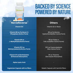 NerveReverse circulation-support capsules conveying balanced lifestyle support