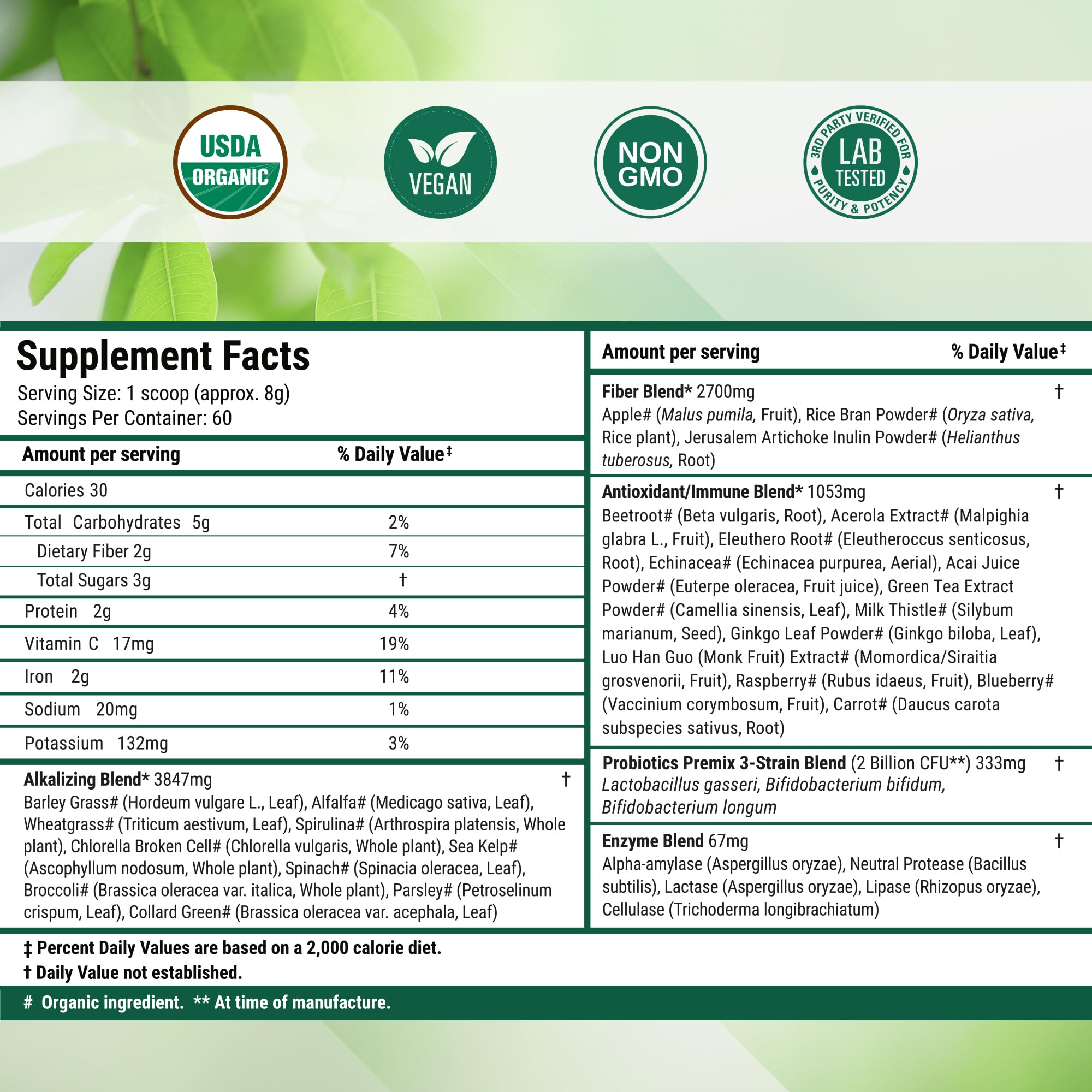 Nested Naturals Super Greens morning routine cup for sustained focus.