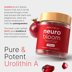 Neuro Bloom Urolithin A packaging image indicates two-month supply.
