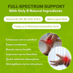Visual highlighting rapid absorption and key vitamins in Neuro Health formula.