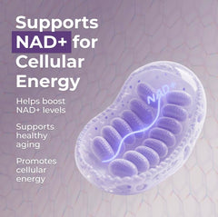 Made in USA badge on Neurogan Beta NMN packaging