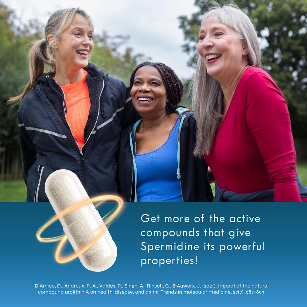 Neurogan Spermidine Pro wheat germ extract provides natural plant-based spermidine