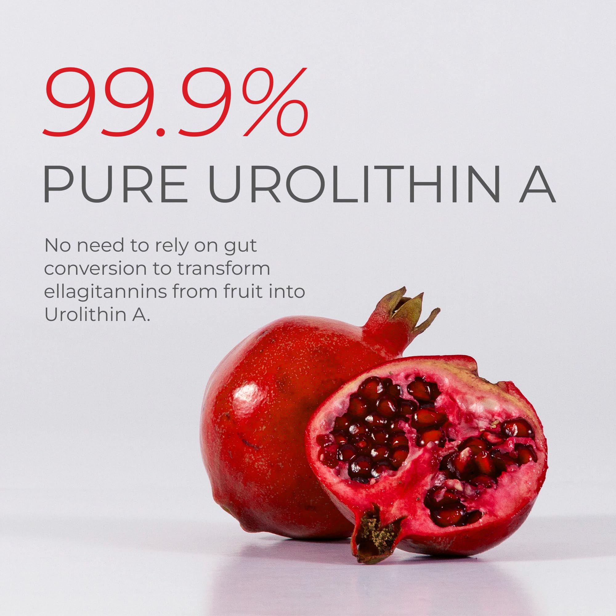 Neurogan Urolithin A PRO lab test label, ensuring purity