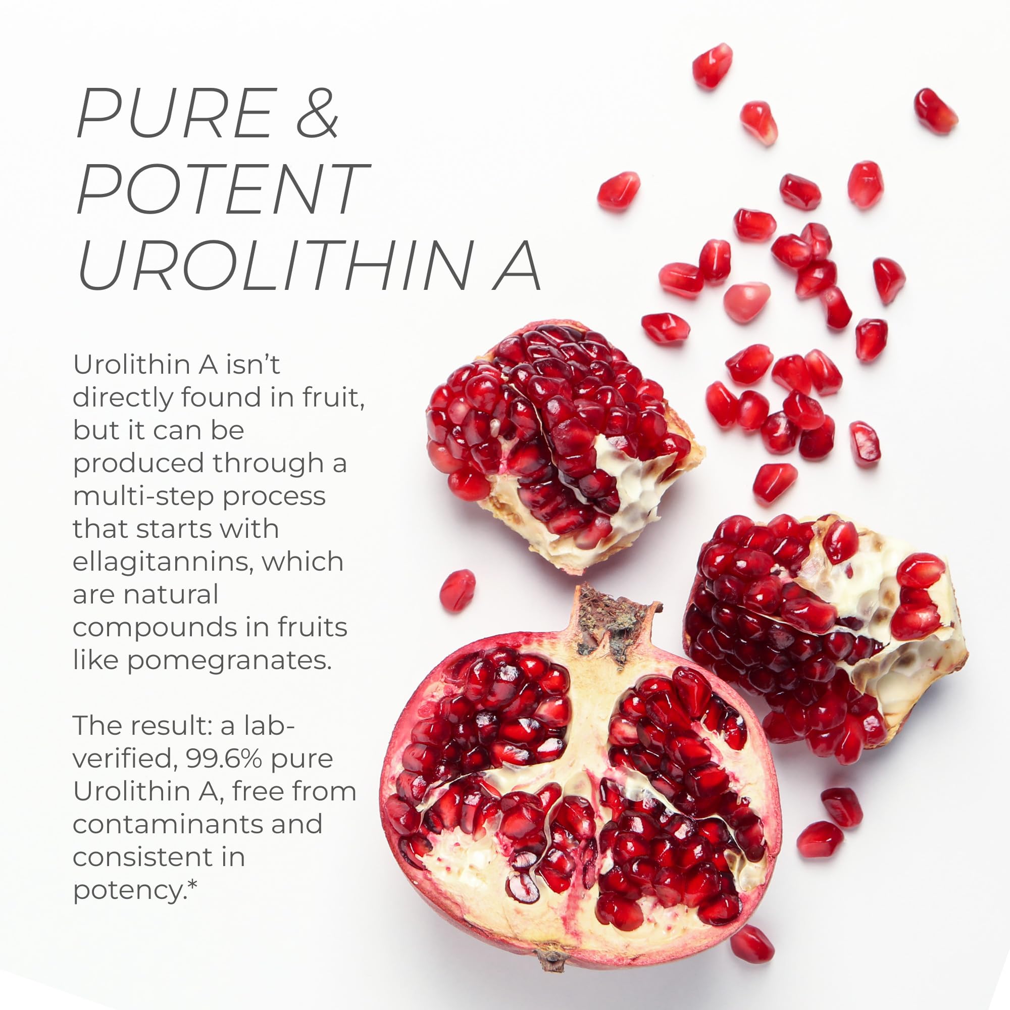 Neurogan Urolithin A PRO with pomegranate extract graphic, natural postbiotic source