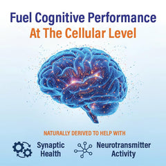 Neutein marigold spearmint extracts close-up signals plant-based antioxidant support.