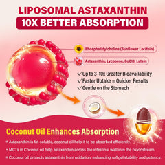 NEVISS liposomal delivery system illustrating enhanced absorption.
