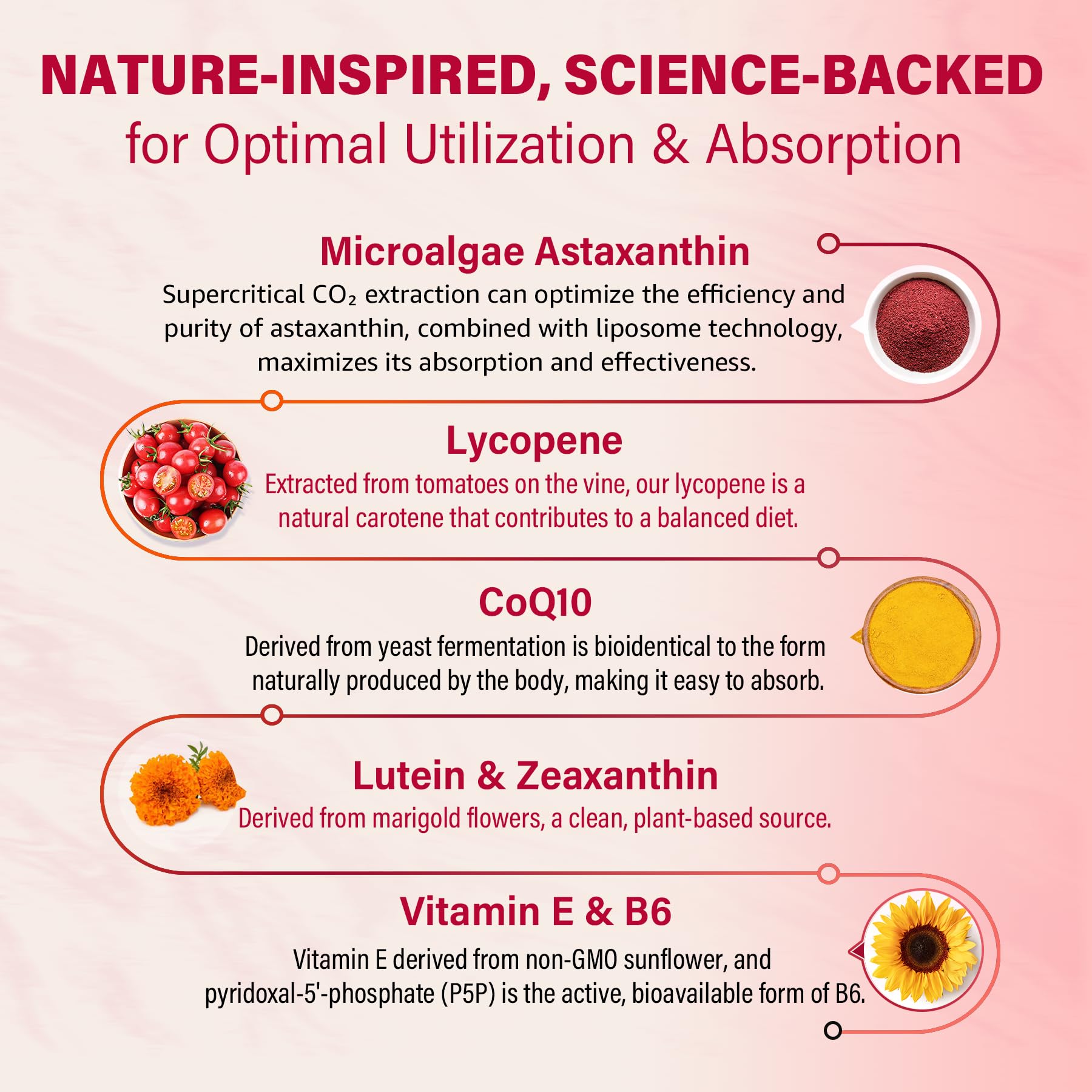 NEVISS organic coconut oil and sunflower oil matrix for lipid-based delivery.