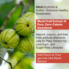 NEVISS Vegan Sugar-Free Gummies packaging communicates clean label.
