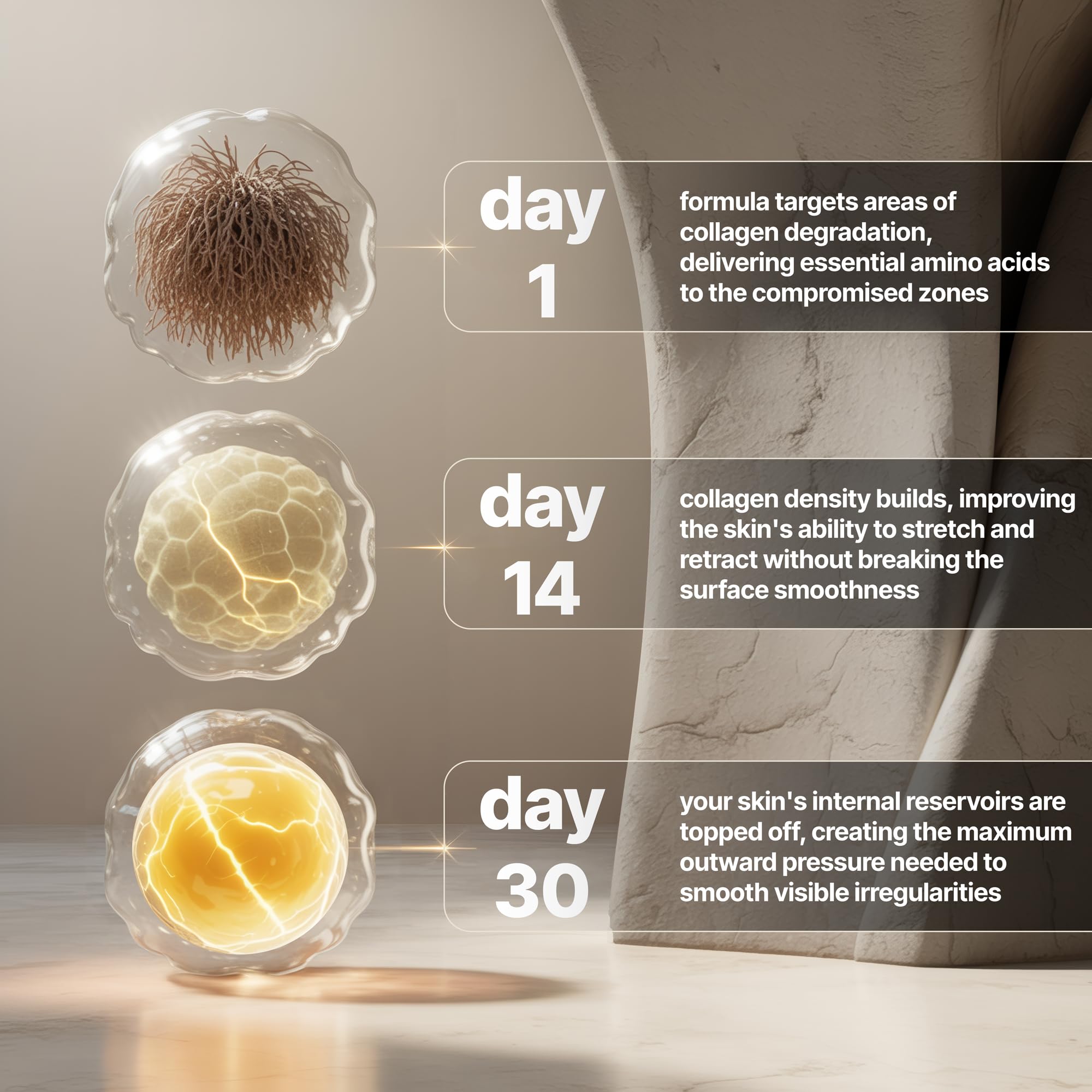 Nevora Labs Bye Cellulite ingredients close-up showing collagen and acids.