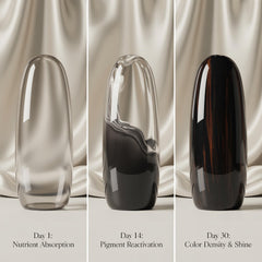Nevora Labs Gray Guard packaging displayed on a clean kitchen counter.