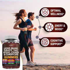 NEW AGE Reishi Chaga gummies bottle image conveys calm, steady resilience