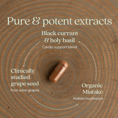 New Chapter Blood Pressure Take Care label detail, notes probiotic media and natural extracts.