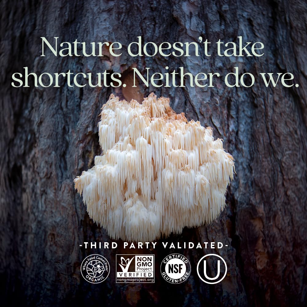 New Chapter Chaga mushroom image emphasizing natural power and resilience