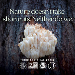 New Chapter Chaga mushroom image emphasizing natural power and resilience
