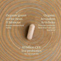 New Chapter Daily Dual Biotic label detail with vegan and non-GMO icons