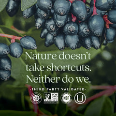 New Chapter elderberry extract visual highlights superfood ingredient