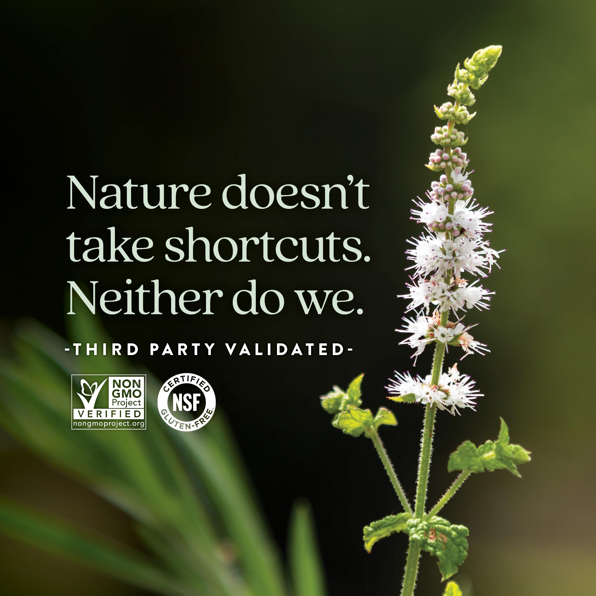 New Chapter Estrotone includes Vitex for balance.