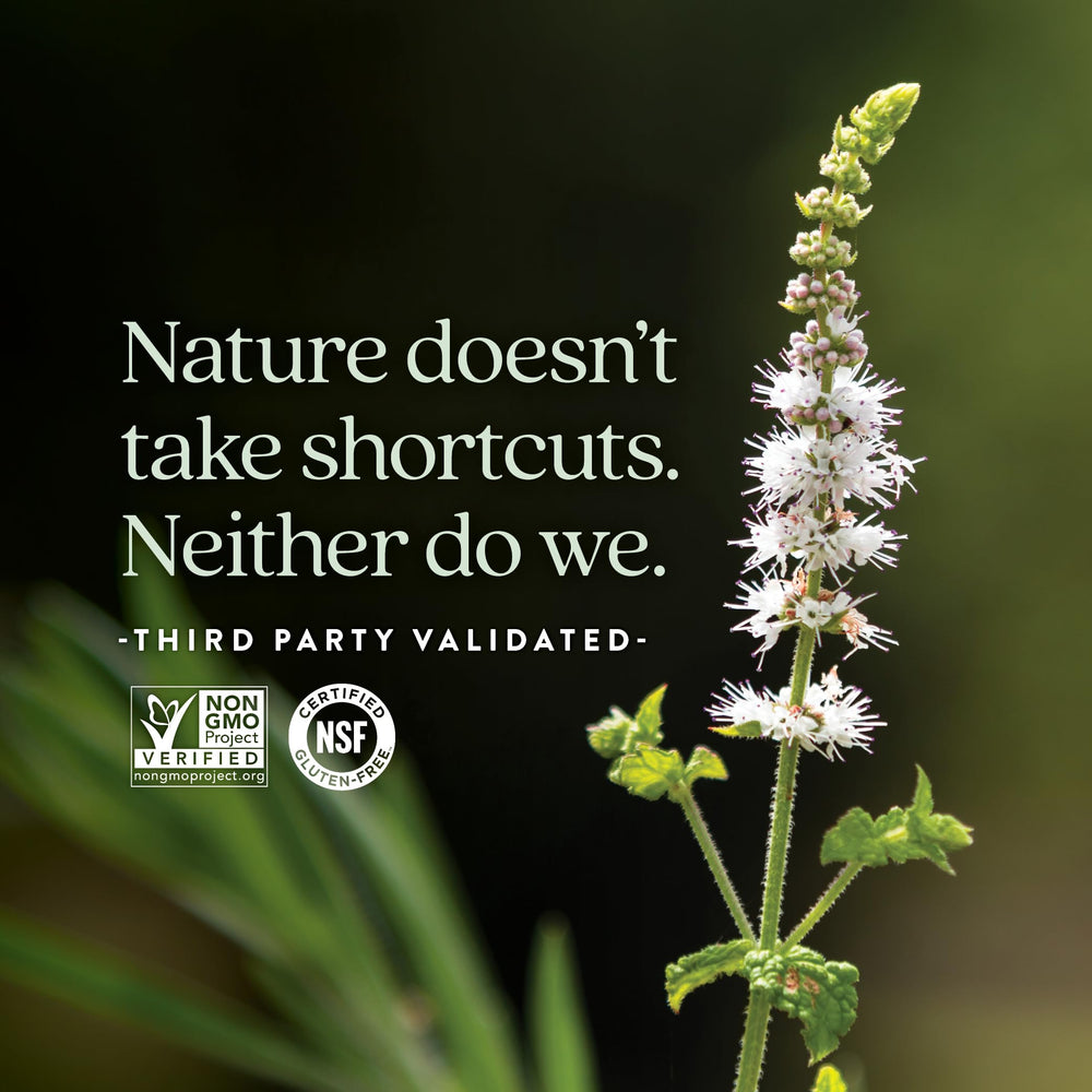 New Chapter Estrotone includes Vitex for balance.