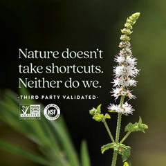 New Chapter Estrotone includes Vitex for balance.