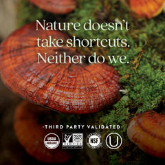 New Chapter organic certification badge on D3 bottle—organic quality you can verify