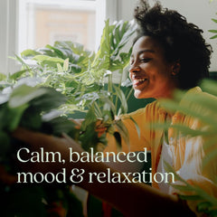 New Chapter Lemon Balm Force capsules ready for daily calm support.