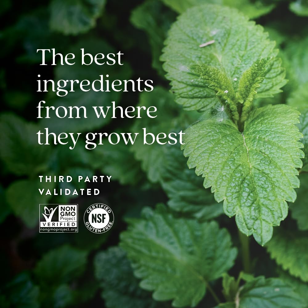 Leaf illustration emphasizes natural lemon balm origin and plant-based benefits.
