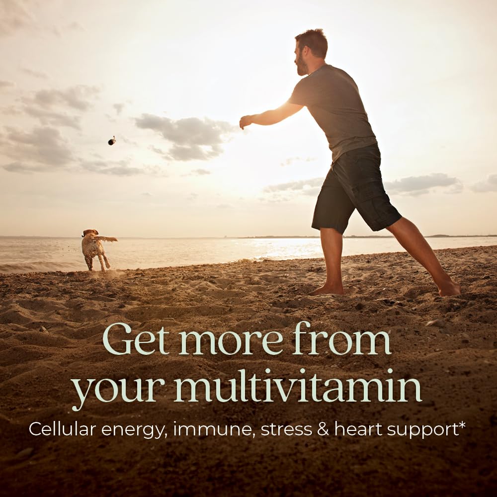 New Chapter Men's Multivitamin label detail shows fermented nutrients designed for easy absorption.