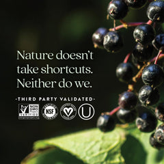 Non-GMO Project Verified label on New Chapter product packaging