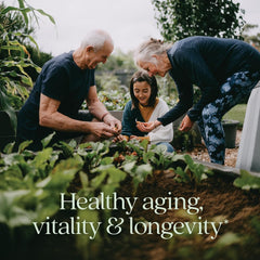 New Chapter Reishi organic mushroom capsules for plant-based wellness.